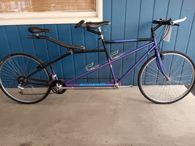 Schwinn Tandem